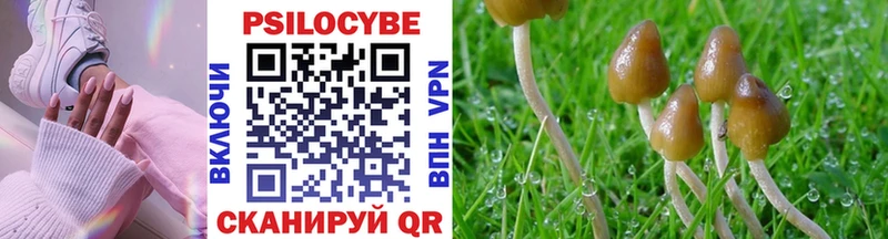 Псилоцибиновые грибы Psilocybine cubensis  закладки  даркнет Telegram  Северск 