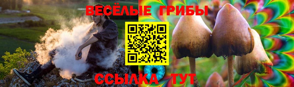 МДМА Северск