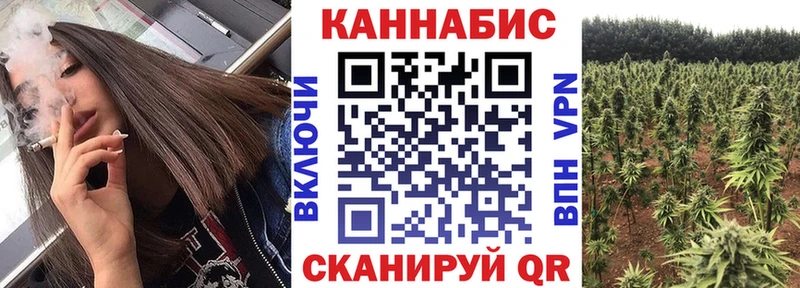 Шишки марихуана семена  Северск 