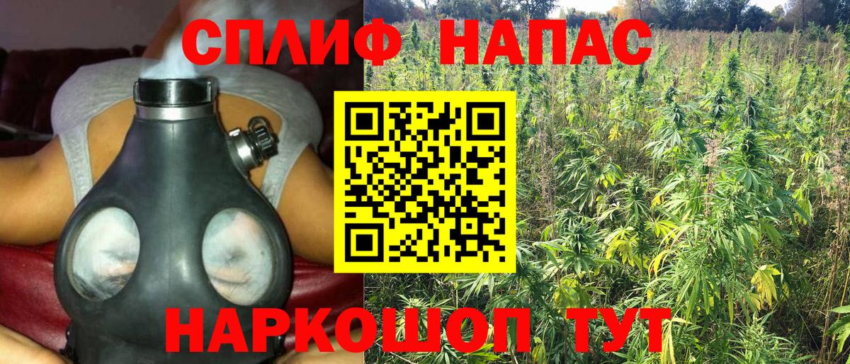 Бошки Шишки ГИДРОПОН Северск